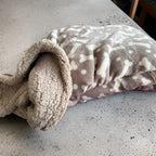 personalised pet blanket