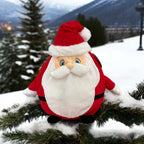 Personalised Father Christmas teddybear