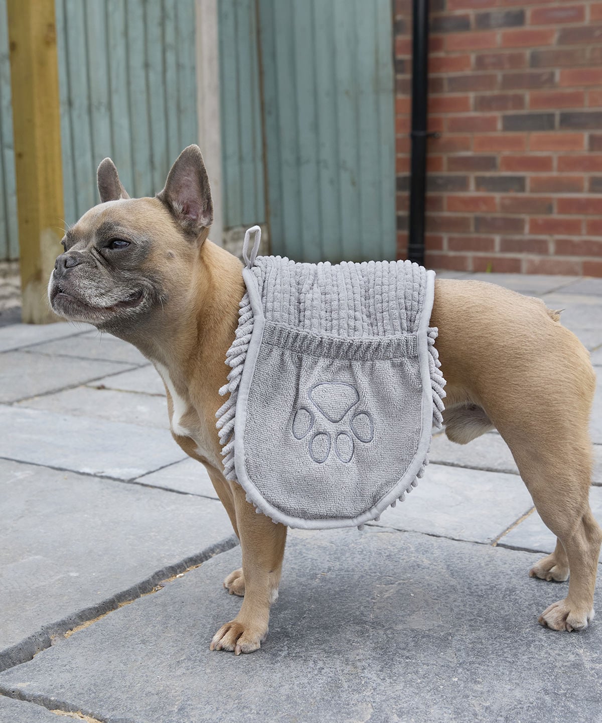 Personalised Pet cleaning towel