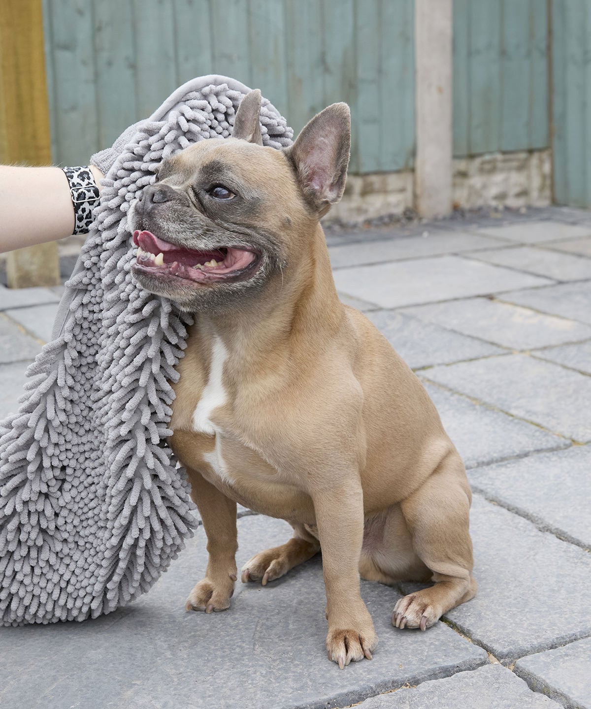 Personalised Pet cleaning towel