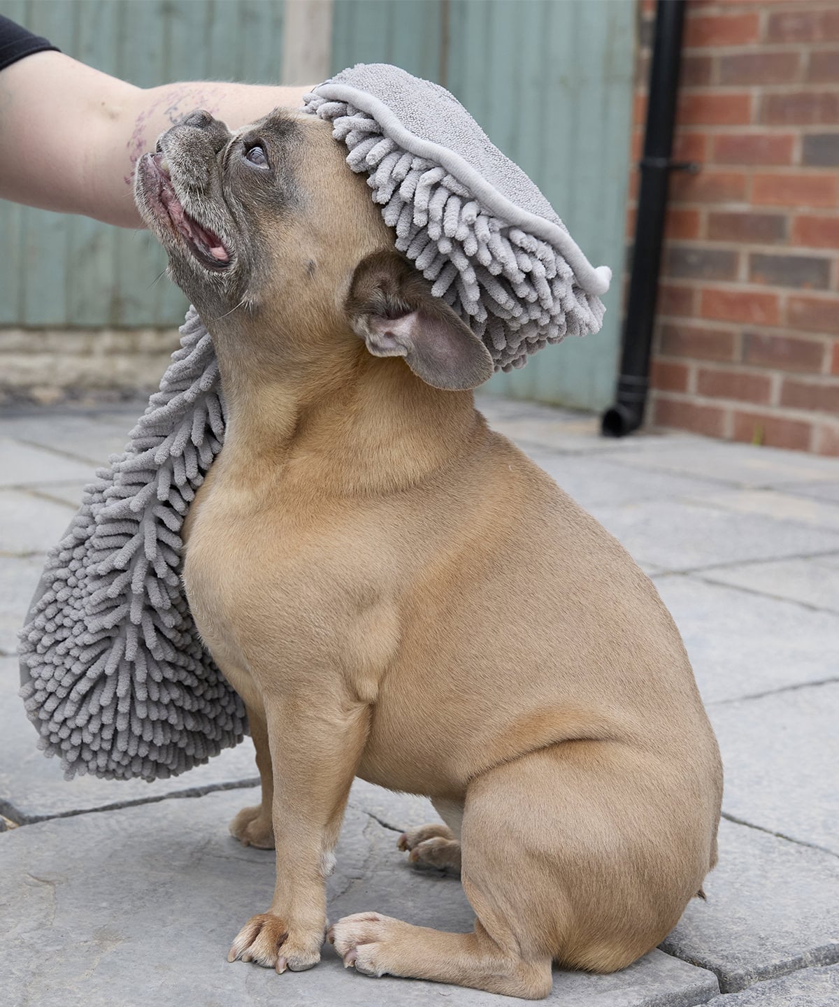 Personalised Pet cleaning towel