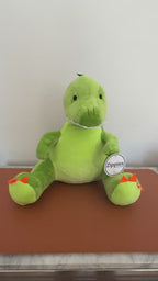 Personalised Dinosaur teddybear